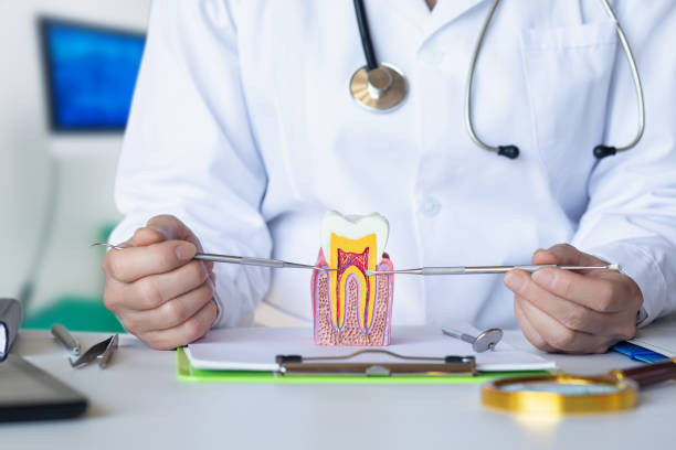 Best Weekend Emergency Dentist in Florham Park, NJ